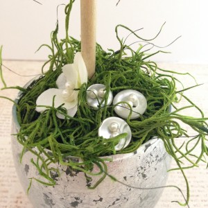 decorate the moss